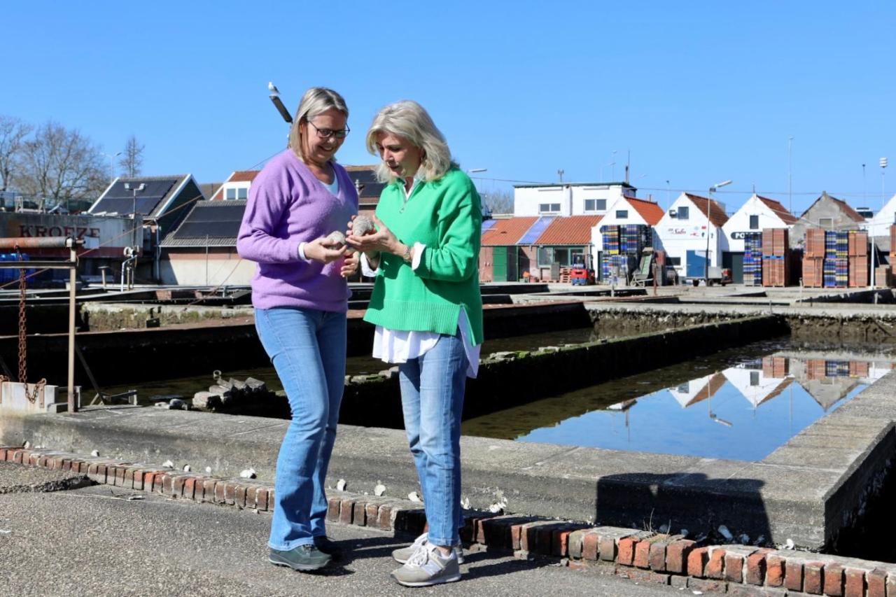 Vakantiehuis Aan Het Veerse Meer コルトゲーネ エクステリア 写真